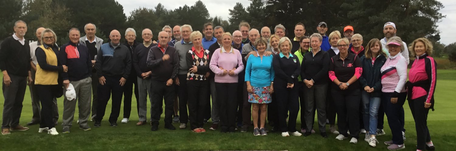 Anthea Bailey banner