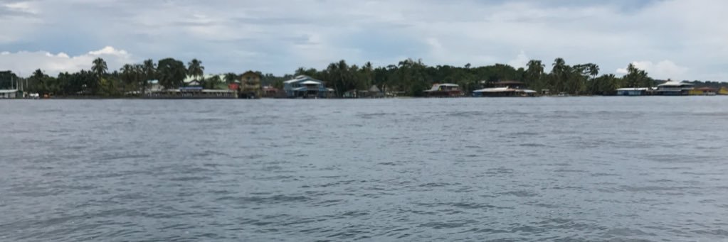 Carmenpat28's profile banner image