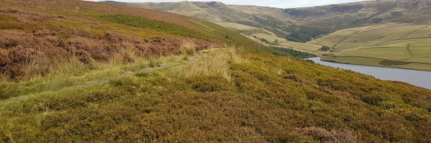 Chris Millward banner