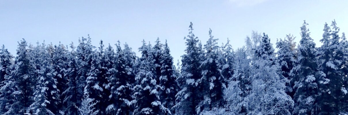 Alex_Andresen's profile banner image
