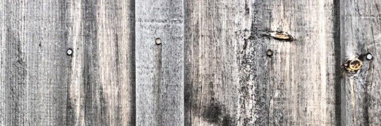 justyneedgell's profile banner image