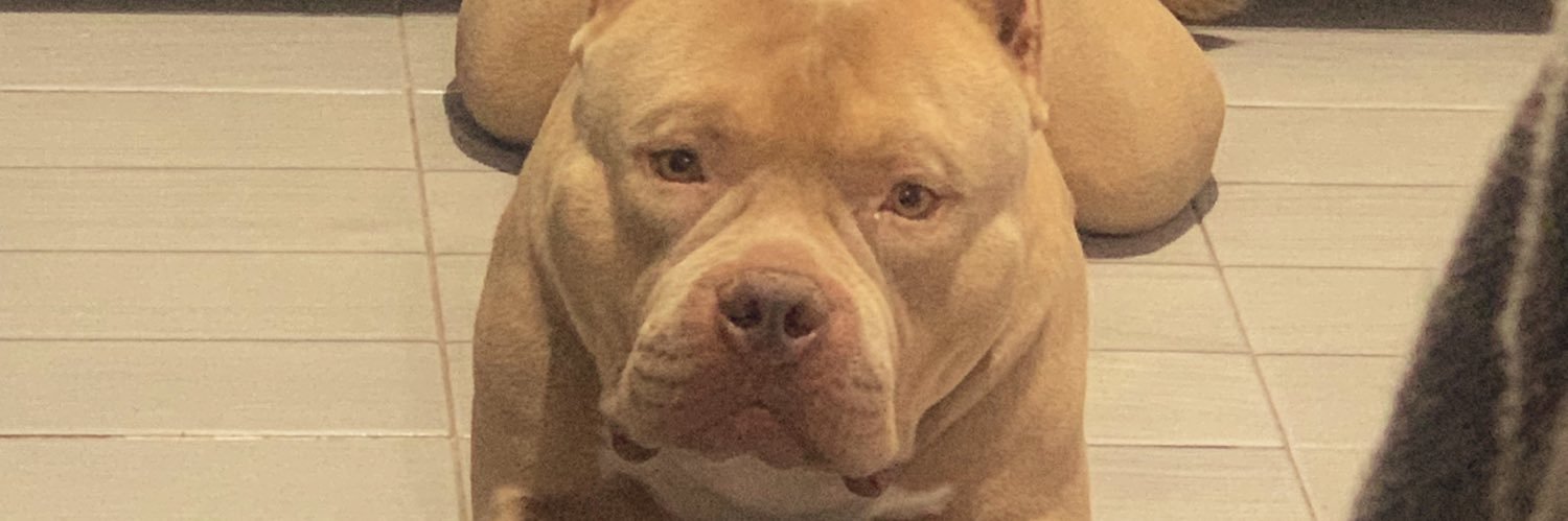 𝒜𝓁𝑒 ✨ banner