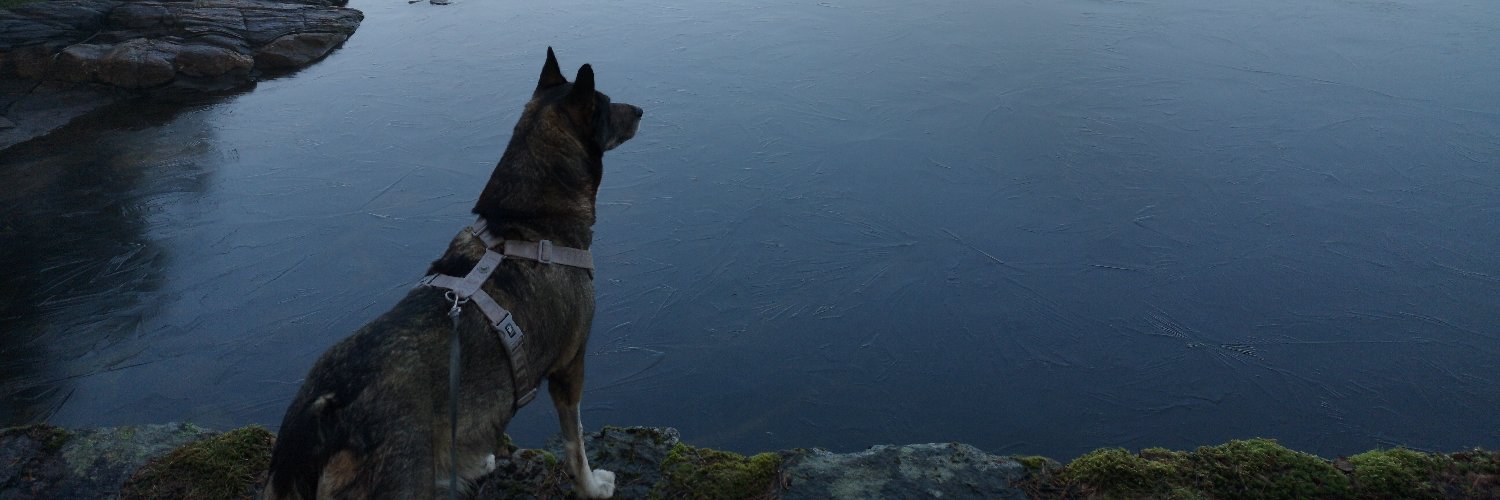 SAksnes's profile banner image