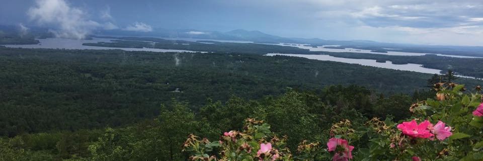 MsBerryTeach's profile banner image