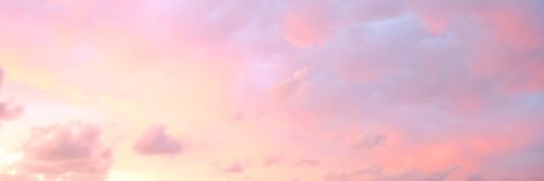 heath🌻 banner