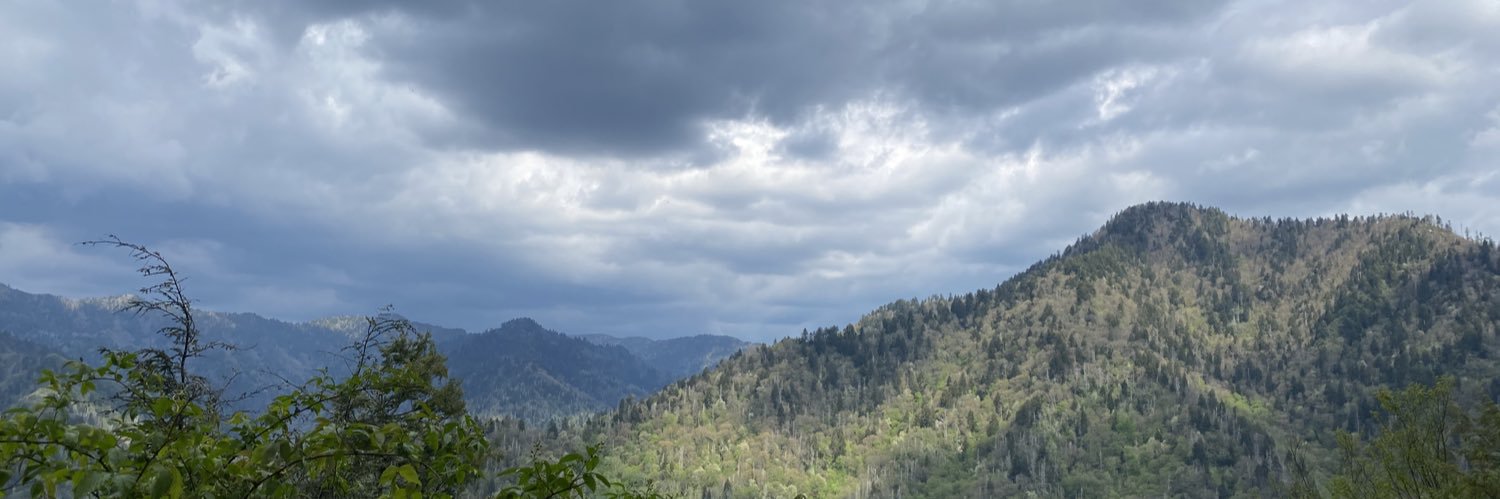 madisimone9's profile banner image