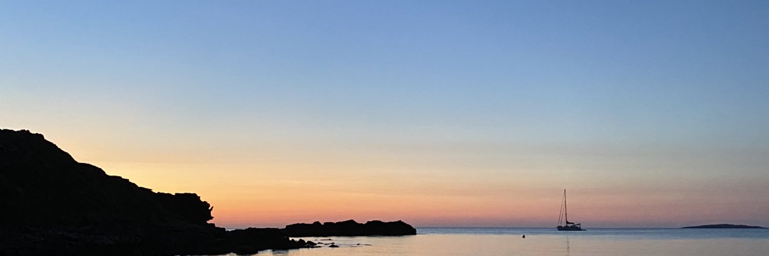 Laura Benítez banner