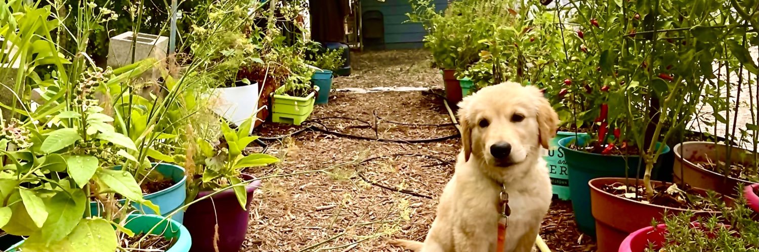 Roman Gonzalez banner
