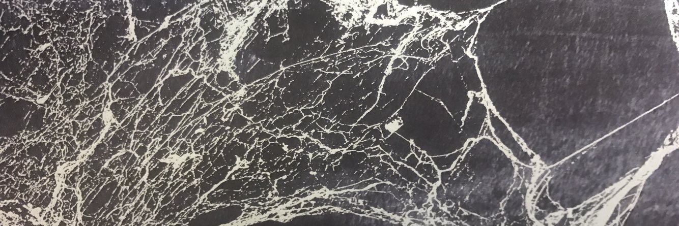 gr_ntbr's profile banner image