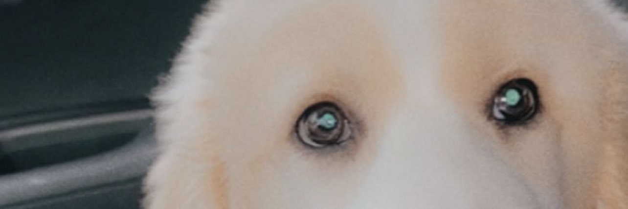 tour_reputation's profile banner image