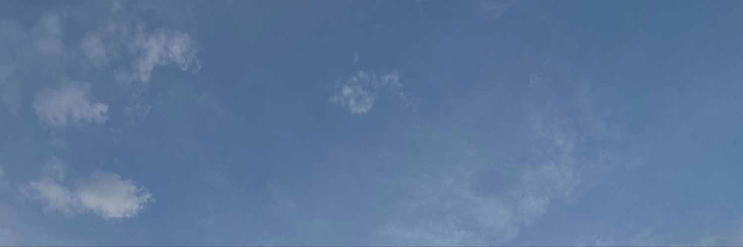 shubbycheeks's profile banner image