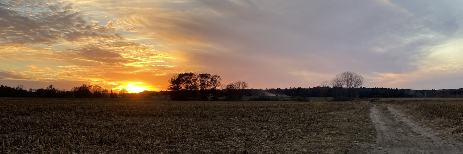 Rinkster21's profile banner image