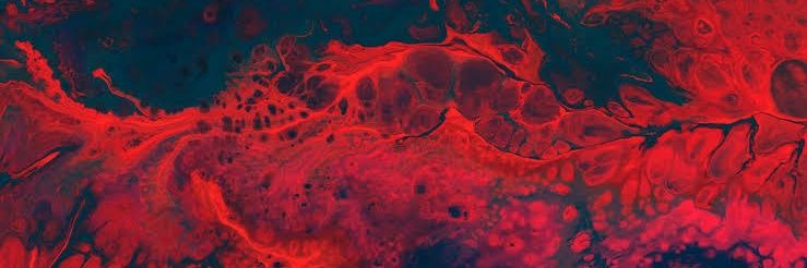fpol_'s profile banner image