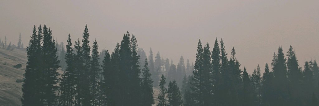 DvidRandy's profile banner image