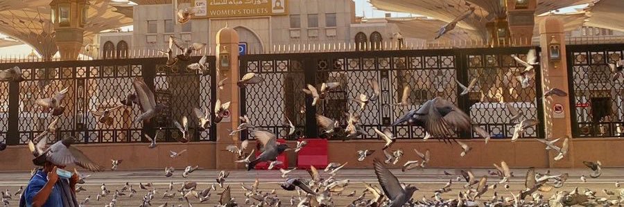 abood4543's profile banner image
