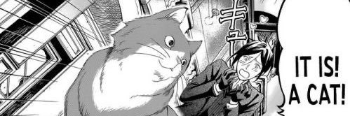 DB0YMYG's profile banner image