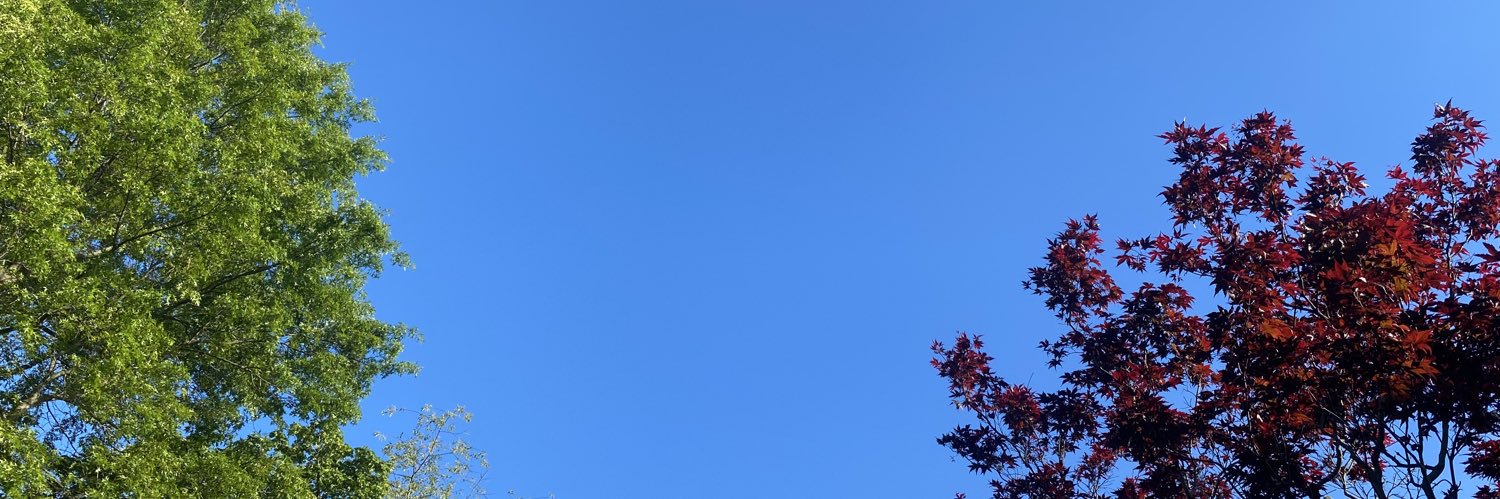 rainbowbird87's profile banner image