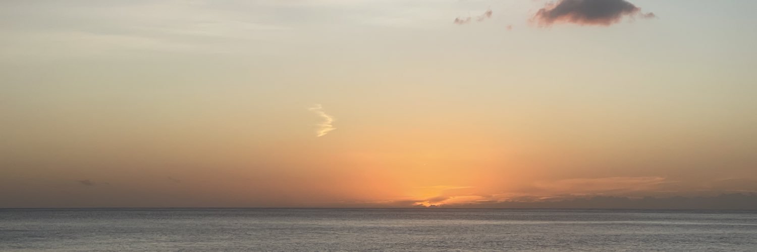 Coach Shaun Mailo banner