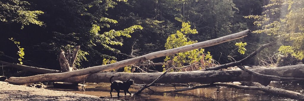 MolRad's profile banner image