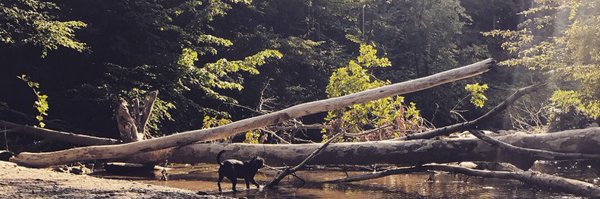 MolRad Profile Banner
