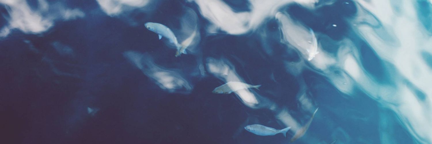 Damian Paderta banner