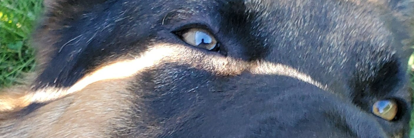 seefletch's profile banner image
