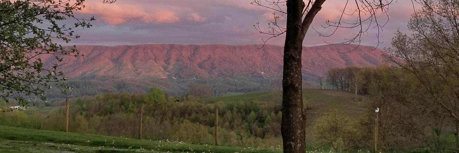 redneck2020red's profile banner image