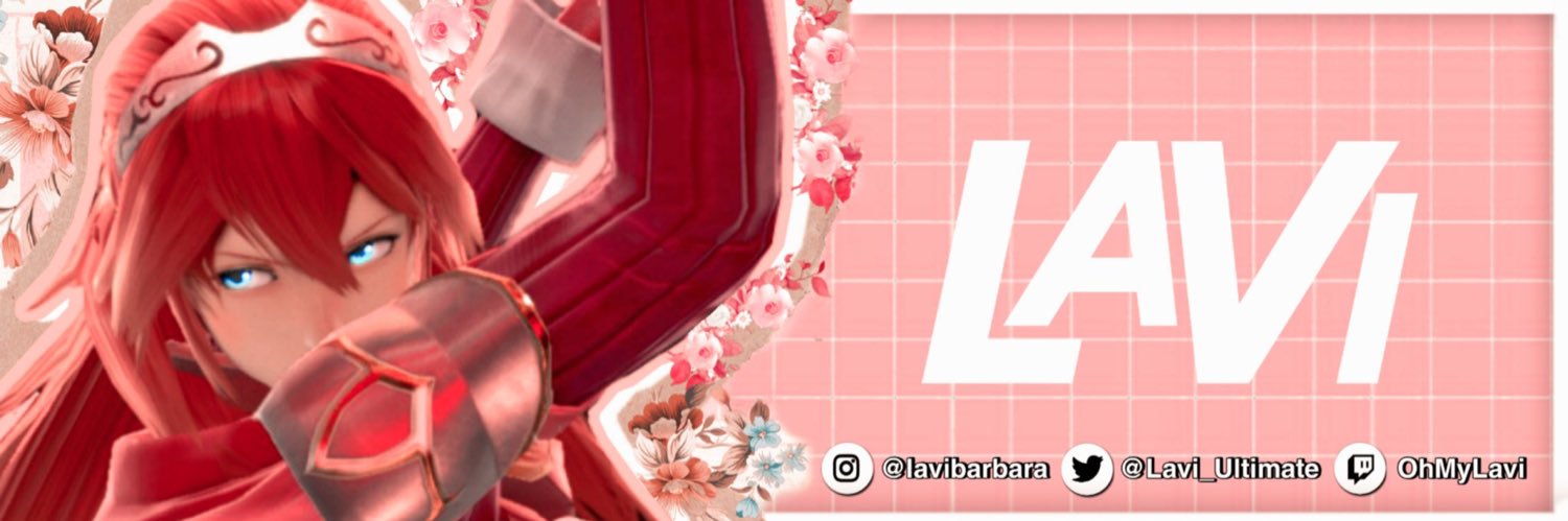 SKL l 3B Lavi banner