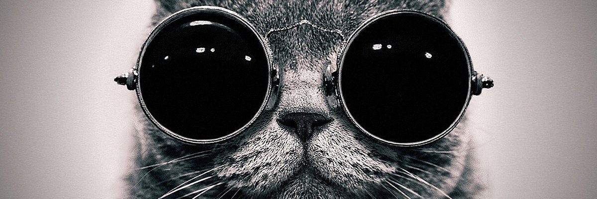 BulbaSol69's profile banner image