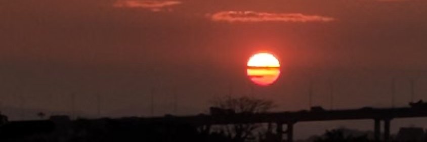 小郑咕里昂 banner