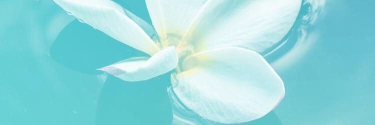 AndreaKSS's profile banner image