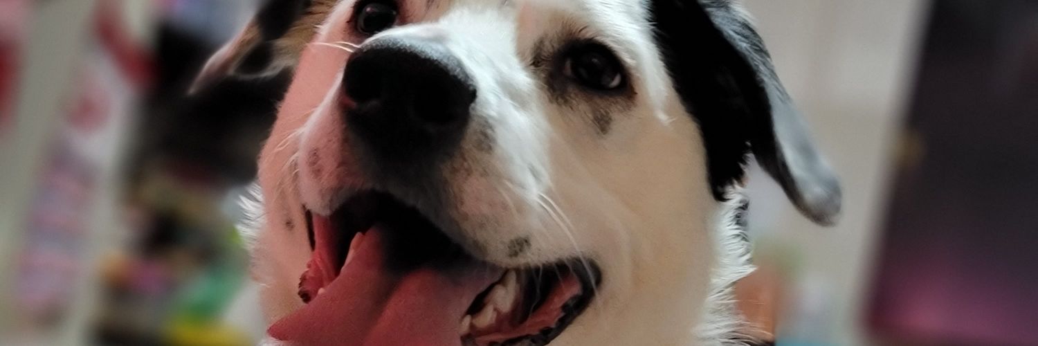 BeerforNick's profile banner image