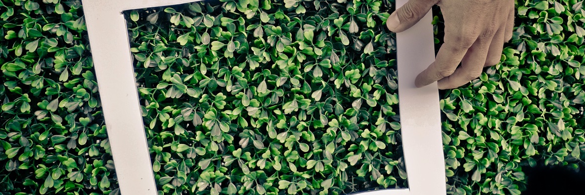 prjctwhiteframe's profile banner image