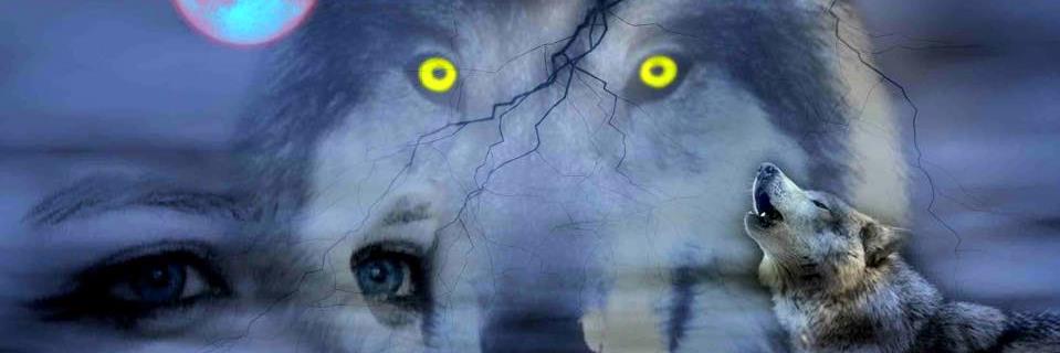 Bruizer8's profile banner image