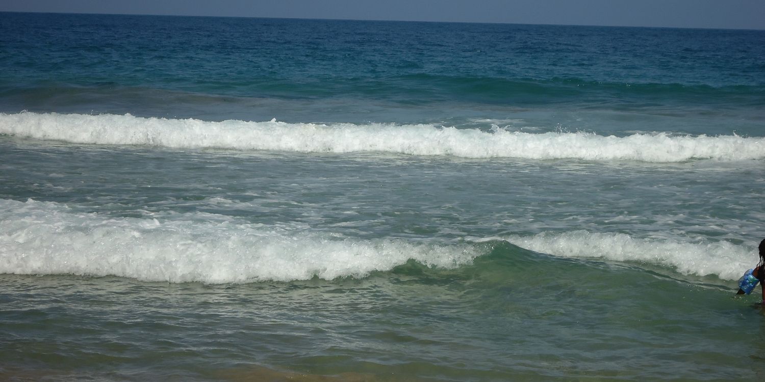 rosamarbe's profile banner image