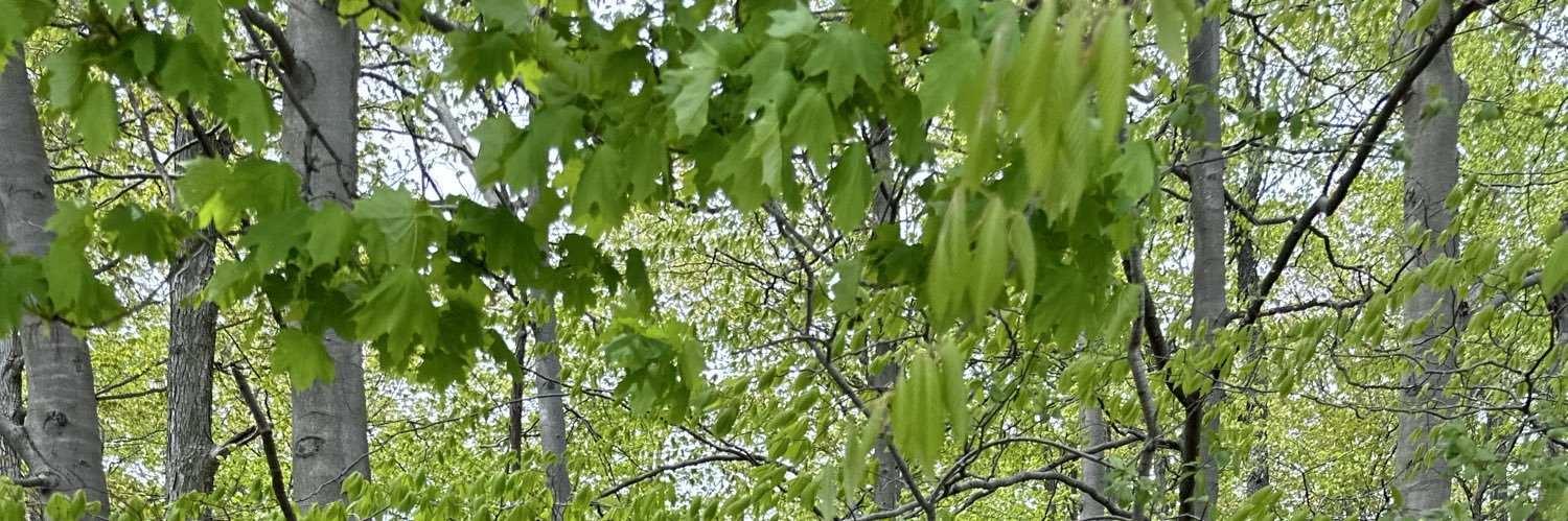 theprogger's profile banner image