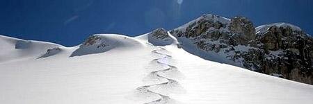 Luigi Alberto Gaude banner