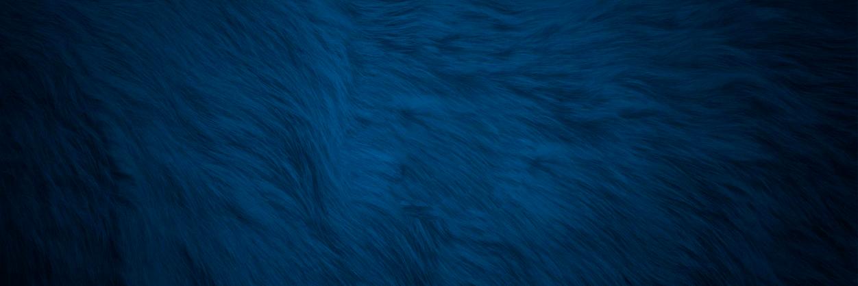 ticmarin's profile banner image
