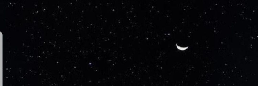 ^•ﻌ•^ banner