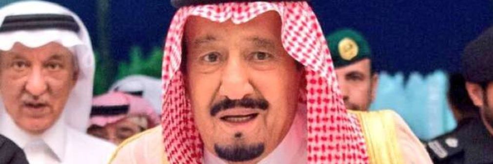 محمد سِين 🇸🇦 ( محب للزراعة والبيئة ) banner