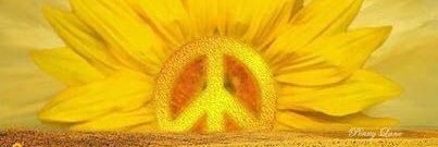 suezimmerman's profile banner image