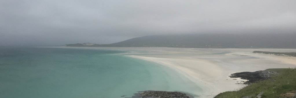 Prof Marion Walker MBE banner