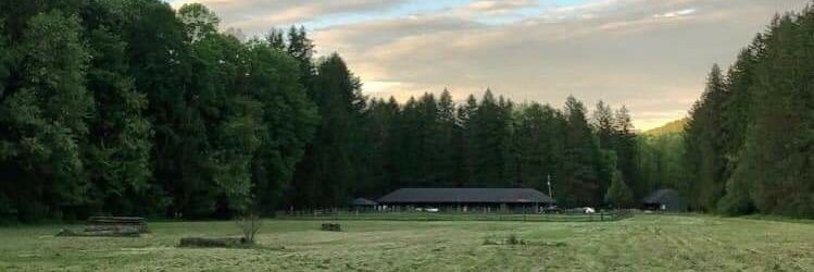 Caitlin Holt Siropaides banner