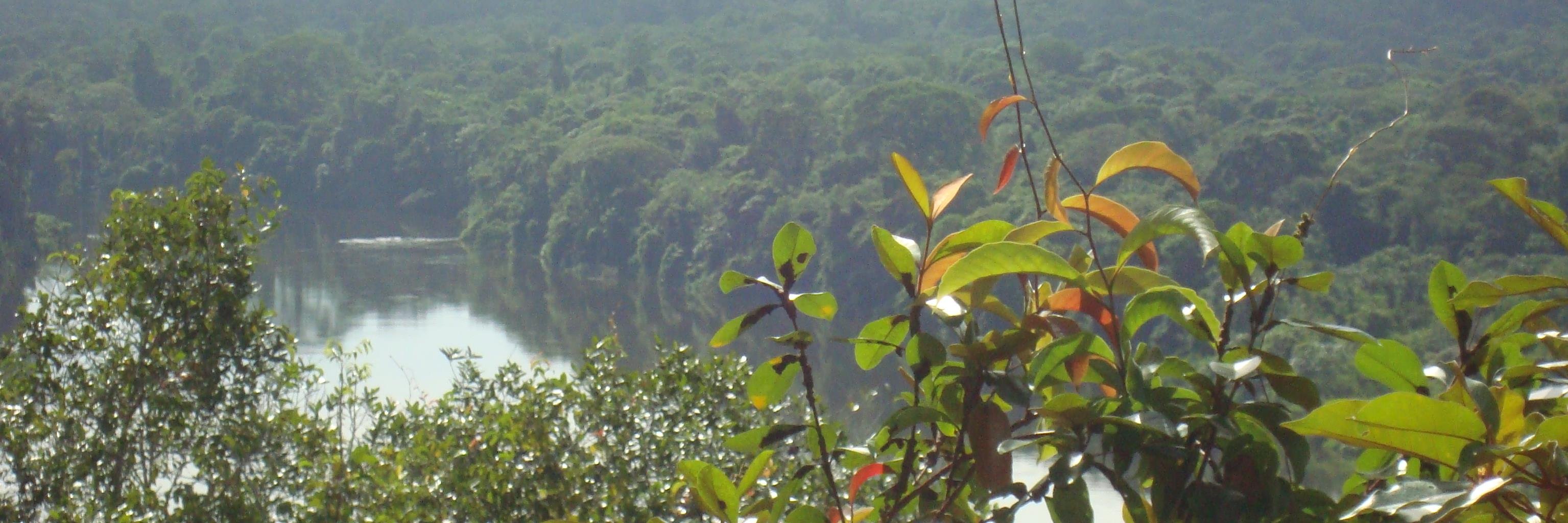 nchacin's profile banner image