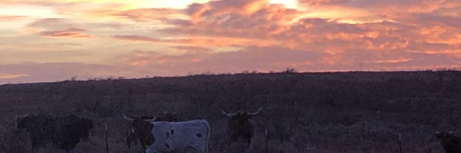 Matt Schaefer banner