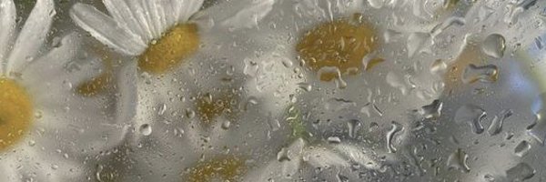 sayphing__ Profile Banner