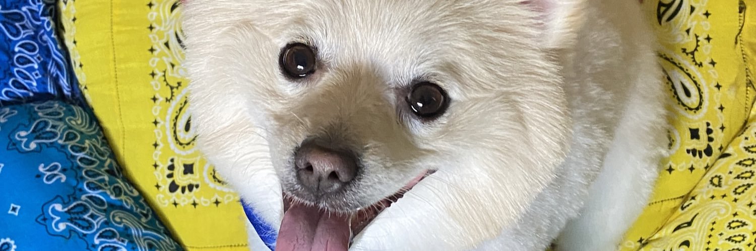 Jnelv's profile banner image