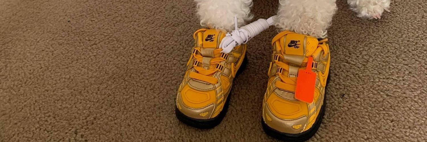 andybuii_'s profile banner image