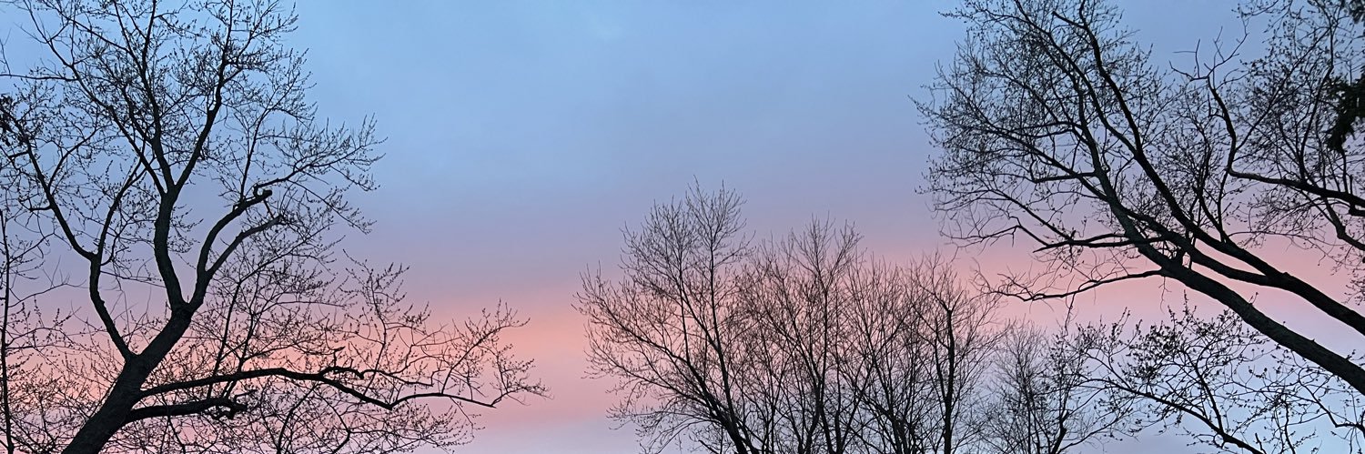 bailey_timmer's profile banner image