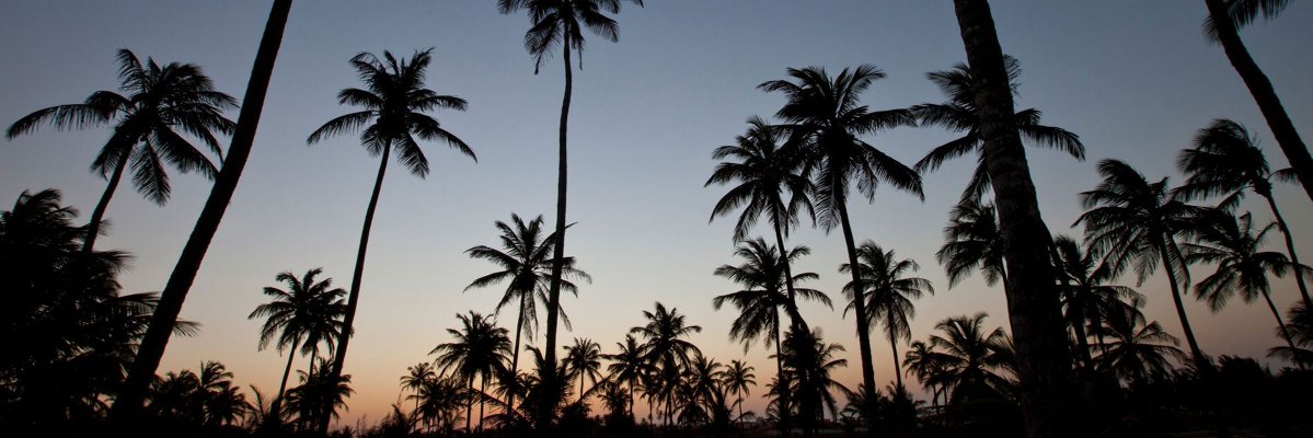 AdalbertoTorres's profile banner image